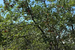 112 Hawk Mountain Rd, Waterford, ME 04088 - Photo 58