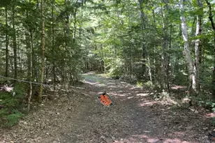 Wa033 Sunset Cove Rd, Big Lake Twp, ME 04668 - Photo 98