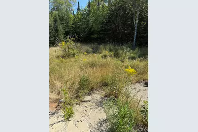 39 Burleigh Road, Stetson, ME 04488 - Photo 8