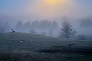 1260 Moosehead Trail, Jackson, ME 04921 - Photo 32