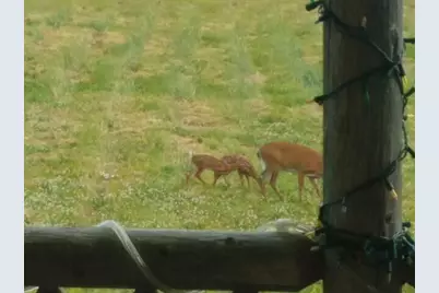 551 E Sangerville Road, Sangerville, ME 04479 - Photo 82