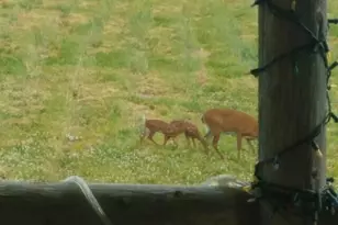 551 E Sangerville Rd, Sangerville, ME 04479 - Photo 82