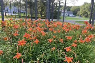 415 Monroe Rd, Hampden, ME 04444 - Photo 62