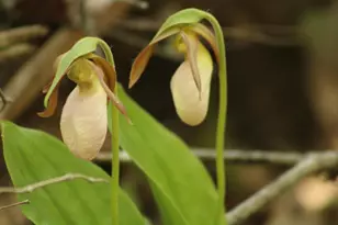 415 Monroe Rd, Hampden, ME 04444 - Photo 86