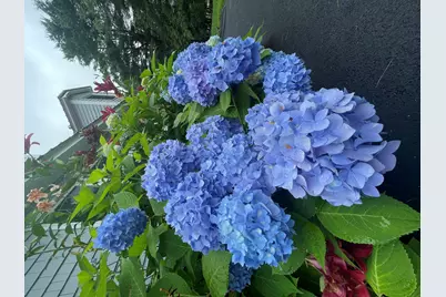 415 Monroe Road, Hampden, ME 04444 - Photo 64