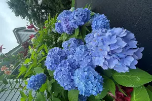 415 Monroe Rd, Hampden, ME 04444 - Photo 64