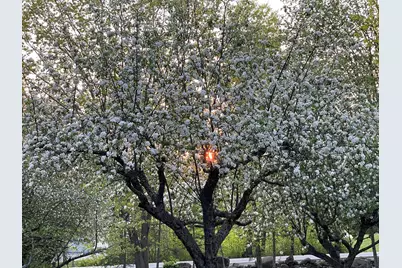 415 Monroe Road, Hampden, ME 04444 - Photo 60