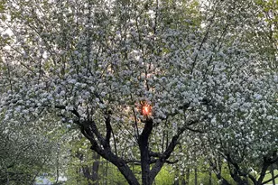 415 Monroe Rd, Hampden, ME 04444 - Photo 60