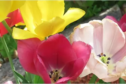 415 Monroe Road, Hampden, ME 04444 - Photo 72