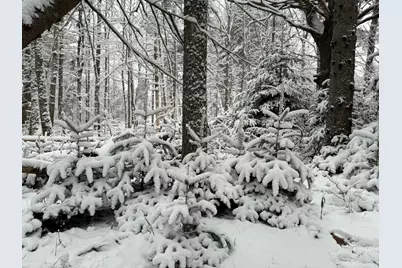 415 Monroe Road, Hampden, ME 04444 - Photo 68