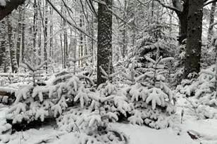 415 Monroe Rd, Hampden, ME 04444 - Photo 68