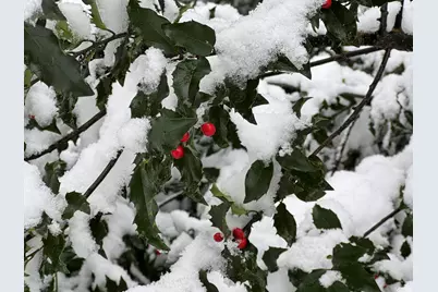 415 Monroe Road, Hampden, ME 04444 - Photo 70