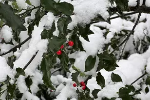 415 Monroe Rd, Hampden, ME 04444 - Photo 70