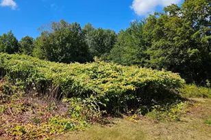 108 S Rd, Harmony, ME 04942 - Photo 8