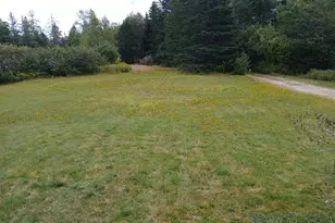 23 Addison Rd, Columbia Falls, ME 04623 - Photo 78