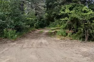 23 Addison Rd, Columbia Falls, ME 04623 - Photo 12