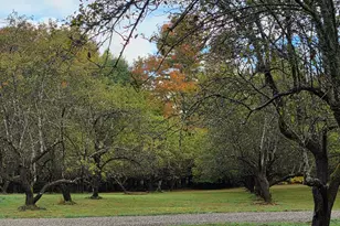 120 Harbor Rd, Woodstock, ME 04219 - Photo 38