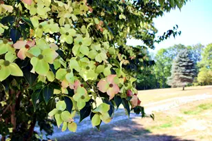 850 Lawrence Rd, Pownal, ME 04069 - Photo 82