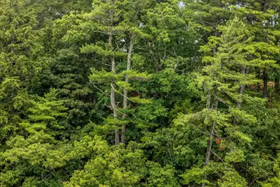 12 Rowell Road, Hampden, ME 04444 - Photo 44