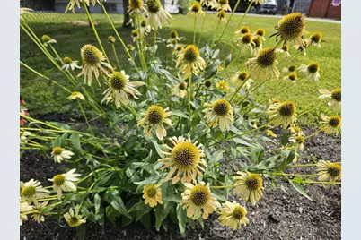 775 US Rt 2, Wilton, ME 04294 - Photo 68