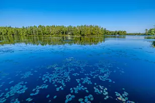 13 & 16 Joyal Hill Ln, Casco, ME 04015 - Photo 98