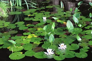 55 Upper Sylvan St, Stockton Springs, ME 04981 - Photo 38