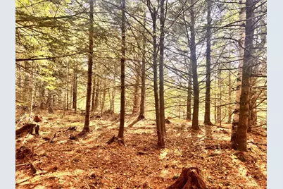 150 Bowden Point Road, Prospect, ME 04981 - Photo 20