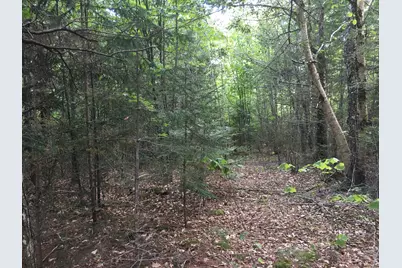 B-2Backlot Pioneer Path, Aurora, ME 04605 - Photo 6