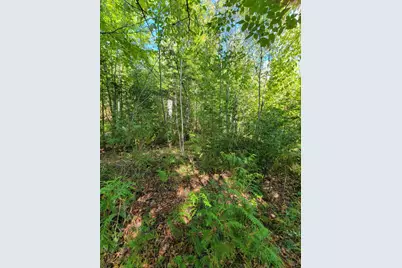 B-2Backlot Pioneer Path, Aurora, ME 04605 - Photo 16