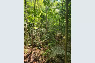 B-2Backlot Pioneer Path, Aurora, ME 04605 - Photo 18