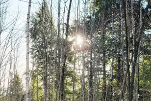 B-2Backlot Pioneer Path, Aurora, ME 04605 - Photo 1