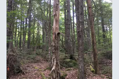 B-2Backlot Pioneer Path, Aurora, ME 04605 - Photo 20