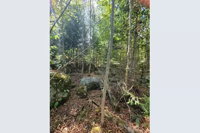 B-2Backlot Pioneer Path, Aurora, ME 04605 - Photo 14