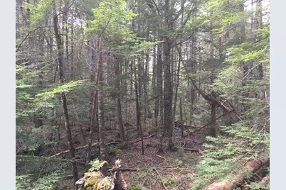 B-2Backlot Pioneer Path, Aurora, ME 04605 - Photo 22