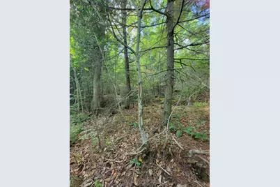 B-2Backlot Pioneer Path, Aurora, ME 04605 - Photo 10