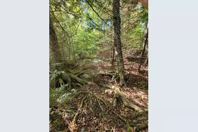 B-2Backlot Pioneer Path, Aurora, ME 04605 - Photo 12