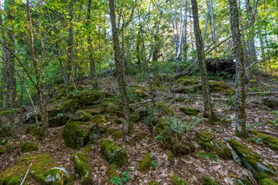 003-D Lakeview Drive, Bristol, ME 04539 - Photo 8