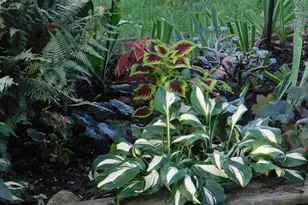 10 Chase Mill Rd, Limington, ME 04049 - Photo 106