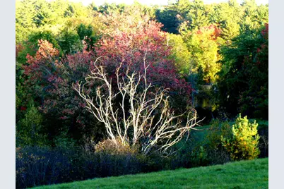 10 Chase Mill Road, Limington, ME 04049 - Photo 108