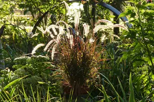 10 Chase Mill Rd, Limington, ME 04049 - Photo 122