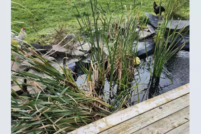 1055 Westmanland Road, Westmanland, ME 04783 - Photo 32