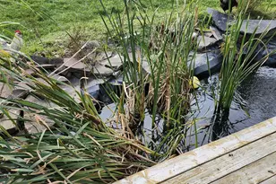 1055 Westmanland Rd, Westmanland, ME 04783 - Photo 32