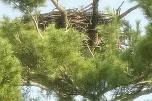 272 Thoroughfare Rd, Sinclair, ME 04779 - Photo 34