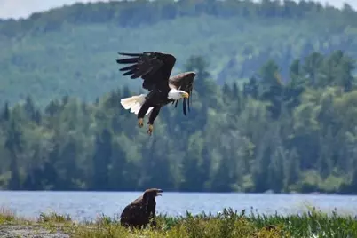 22 Point Road, Guilford, ME 04443 - Photo 44