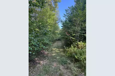 Lot# 55 Arlines Way, Woodstock, ME 04219 - Photo 4