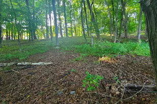 45 Main St, Dexter, ME 04930 - Photo 90