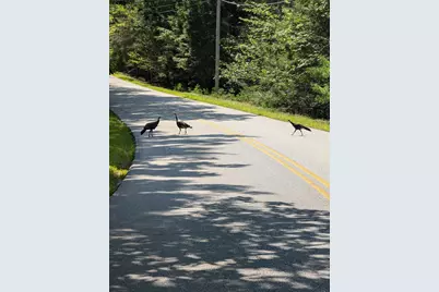 0 Route #144 (Main Road), Westport, ME 04578 - Photo 14