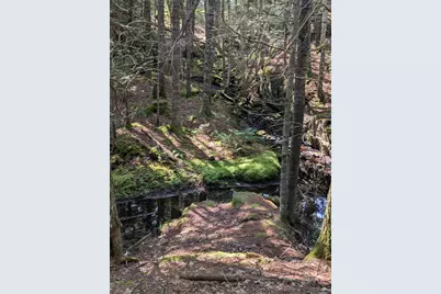 0 Route #144 (Main Road), Westport, ME 04578 - Photo 6