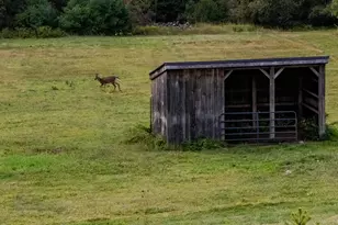 427 Mt Pisgah Rd, Winthrop, ME 04364 - Photo 172