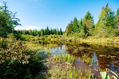 273 Lemon Stream Road, New Portland, ME 04961 - Photo 20